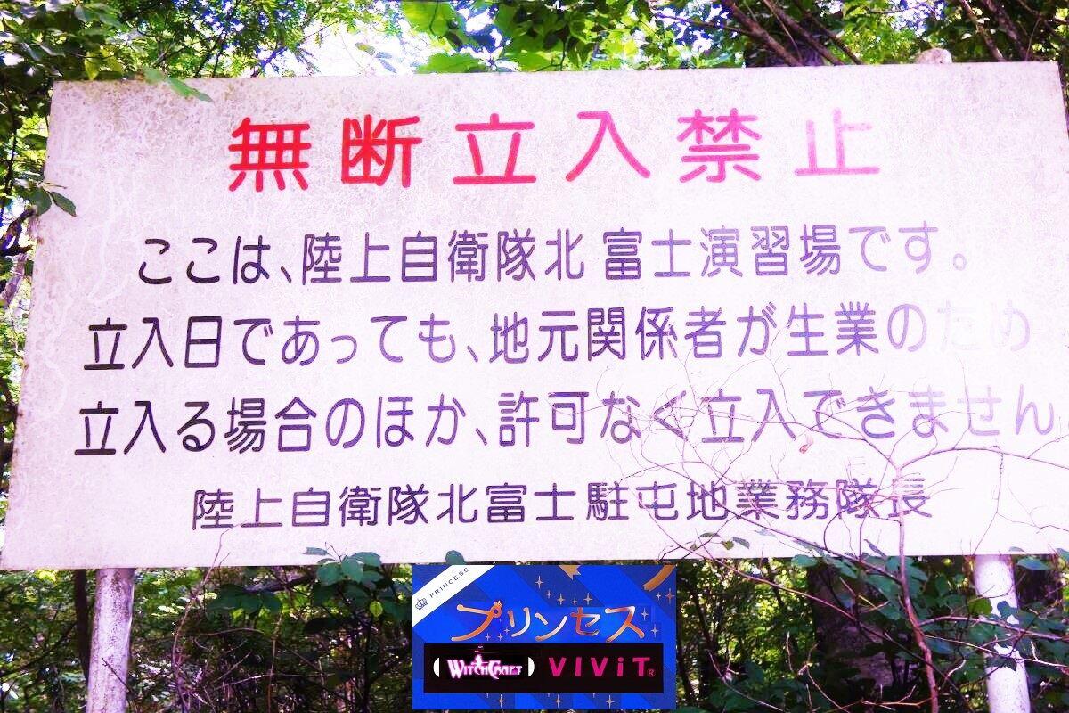 魔法と占いプリンセスVIViT Caven 店舗(館)案内 富士山山中湖本館