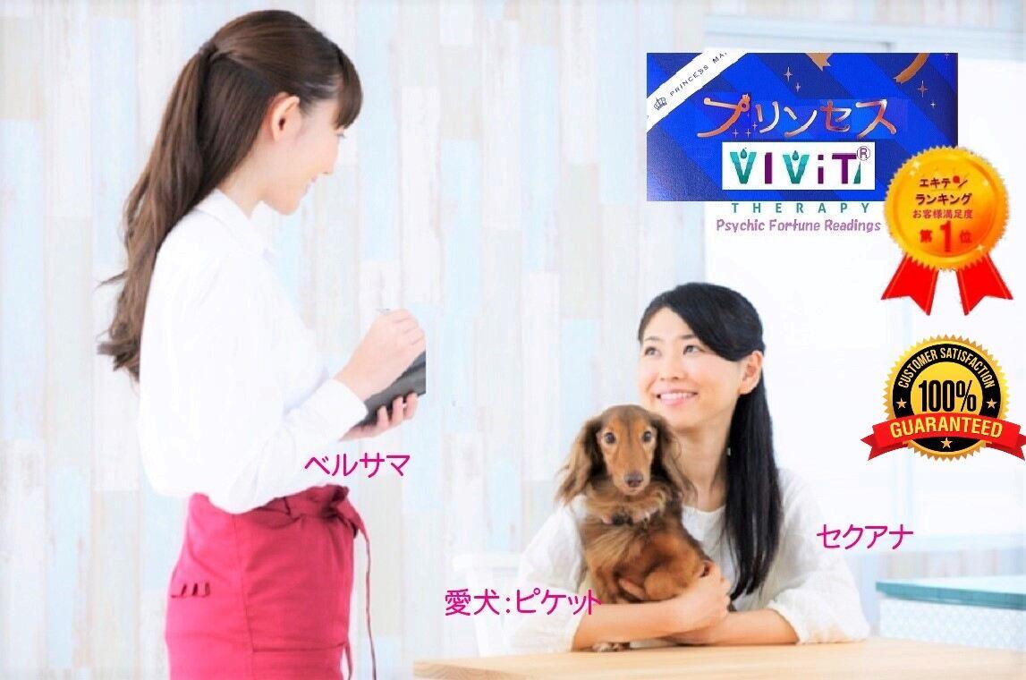 横浜磯子,小型ペット同伴OK.プリンセス魔法占い館VIViT